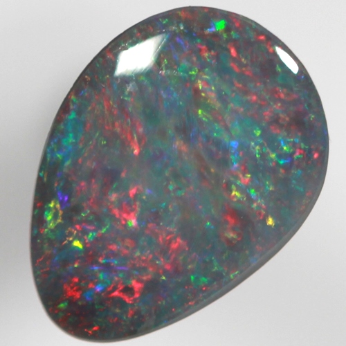 SOLID BLACK OPAL Red multicolour, Floral Harlequin pattern